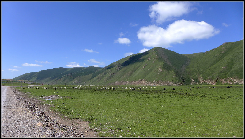 自由在高处的主要内容,自由在高处合集