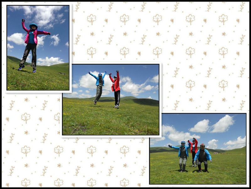 自由在高处的主要内容,自由在高处合集