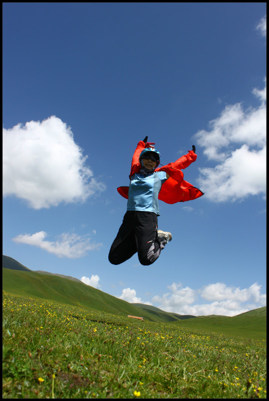 自由在高处的主要内容,自由在高处合集