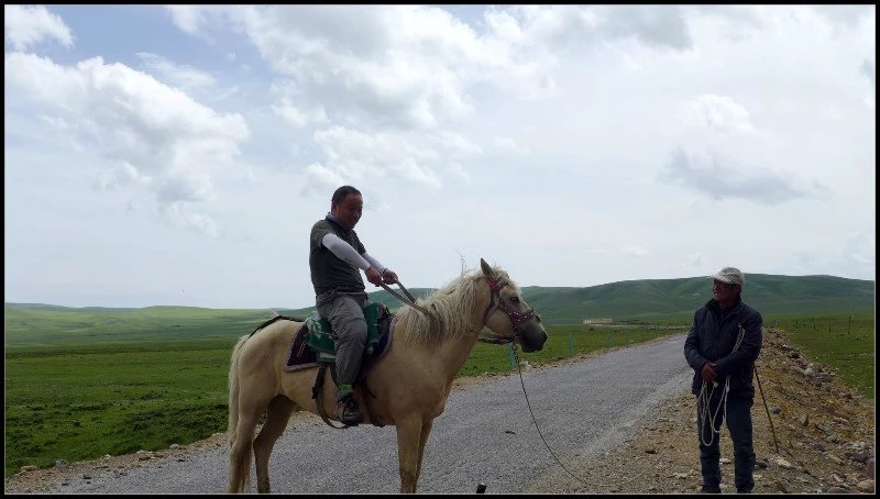 自由在高处的主要内容,自由在高处合集
