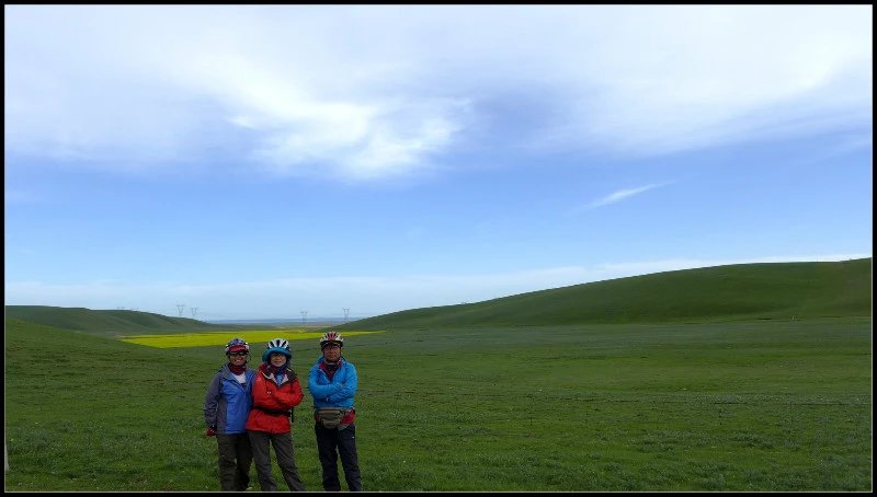 自由在高处的主要内容,自由在高处合集