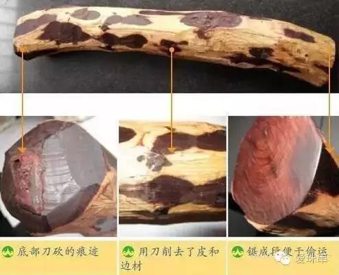 小叶紫檀原木图片,如何挑选小叶紫檀原木