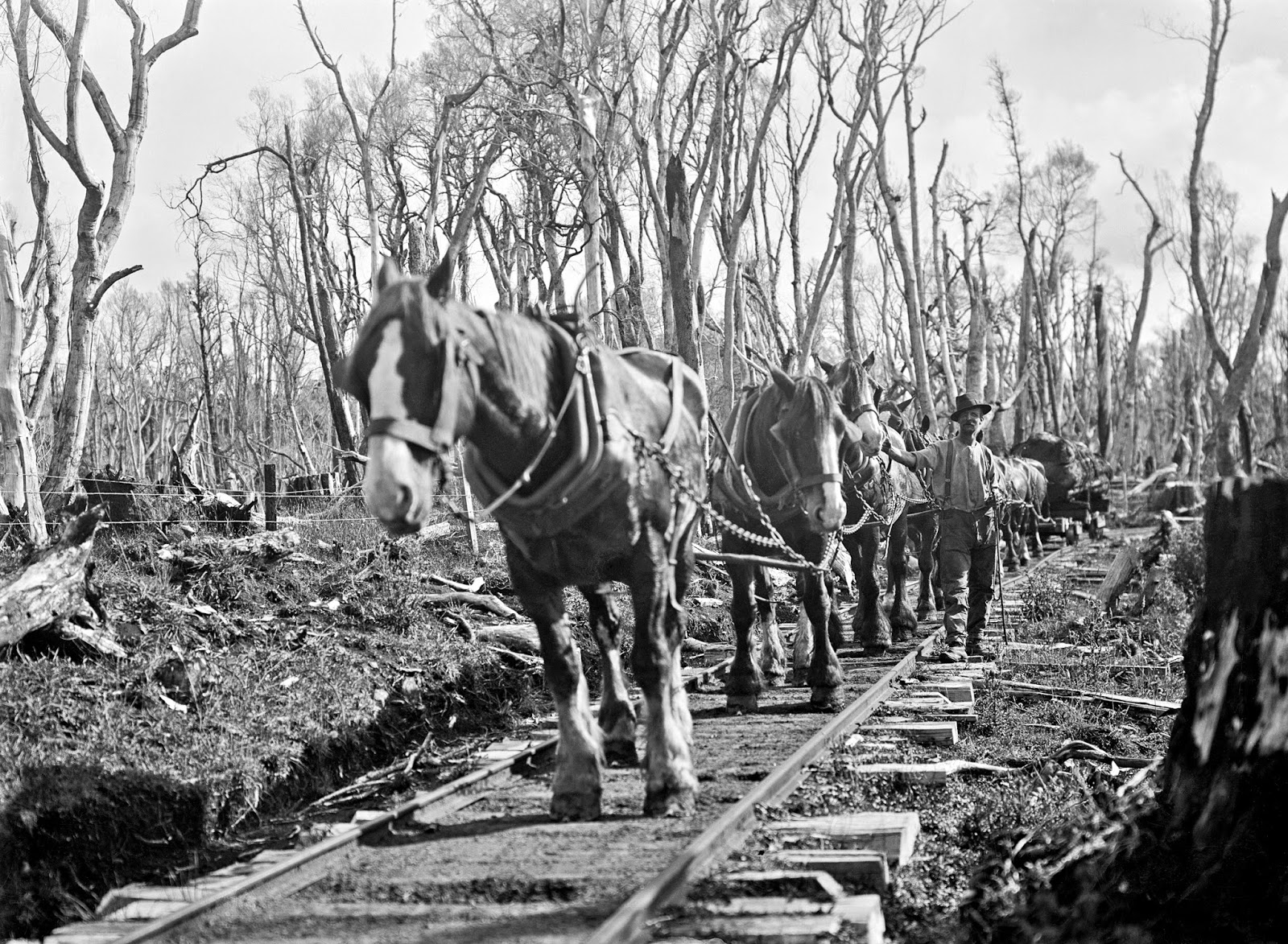 Team什么含义？不查词典，95%的人不知道