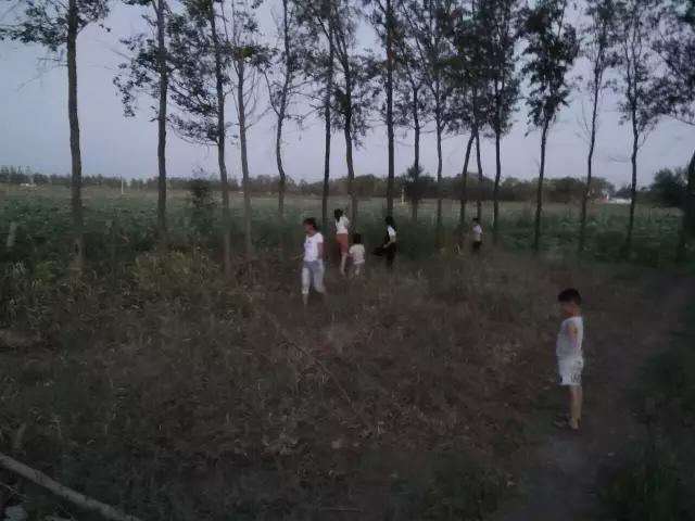 濮阳摸爬叉的地方,濮阳老城摸爬叉的地方