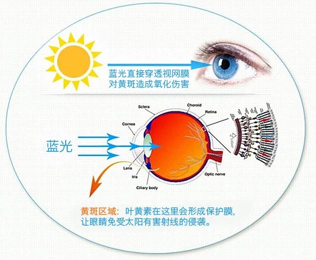 日本哪些汉方药比较好 (日本有什么最值得买的药)