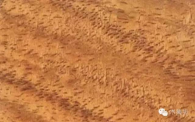 品鉴木头完整版,品鉴一般鉴别什么物品