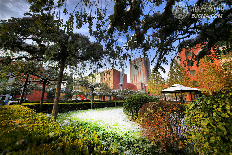 北音还可以考大学吗,什么学历可以去北音