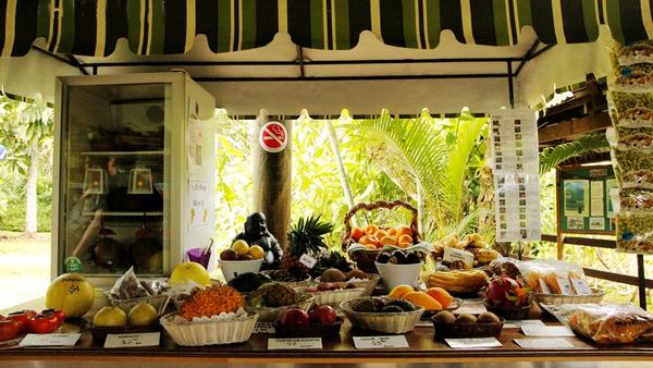 冰箱贴的小知识,冰箱知识和选购技巧