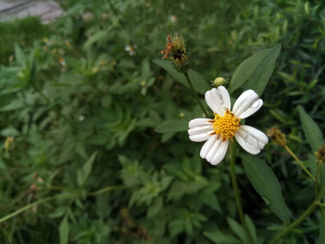 魅蓝3s的手机好用吗,魅蓝3s是最好的吗