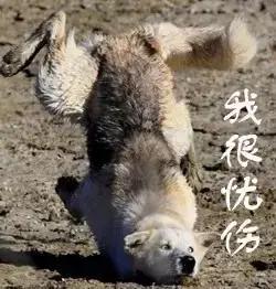 为什么民航飞机上不能配备降落伞,民航飞机为什么不备降落伞