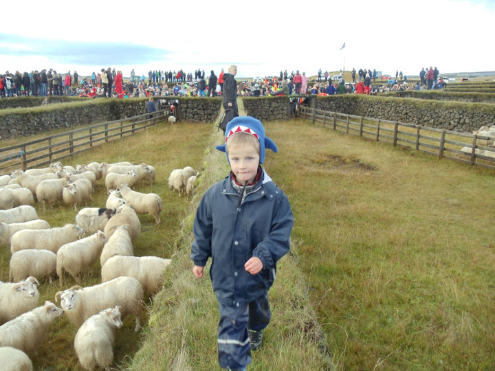 火山的火山泥面膜,冰岛护肤品套装