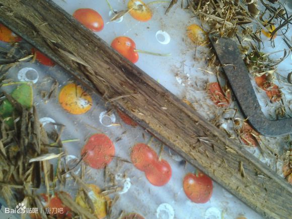 刀鞘两半了怎么修补,刀鞘变形怎么修复