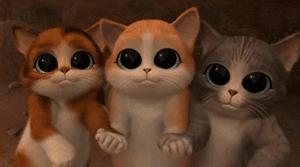 coldsteel冷兵器,coldsteel军用