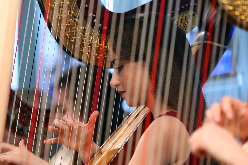 爱尔兰球迷发声,爱尔兰球迷感动世界