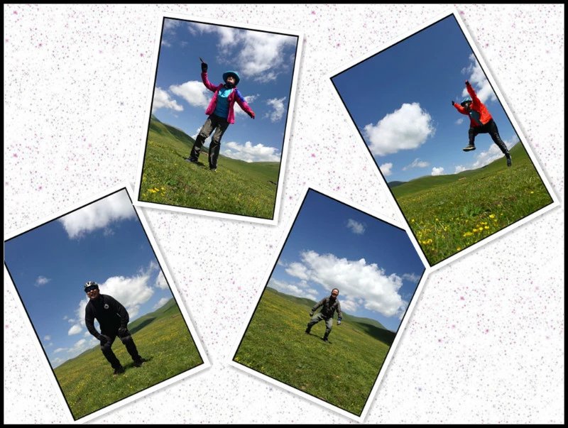 自由在高处的主要内容,自由在高处合集