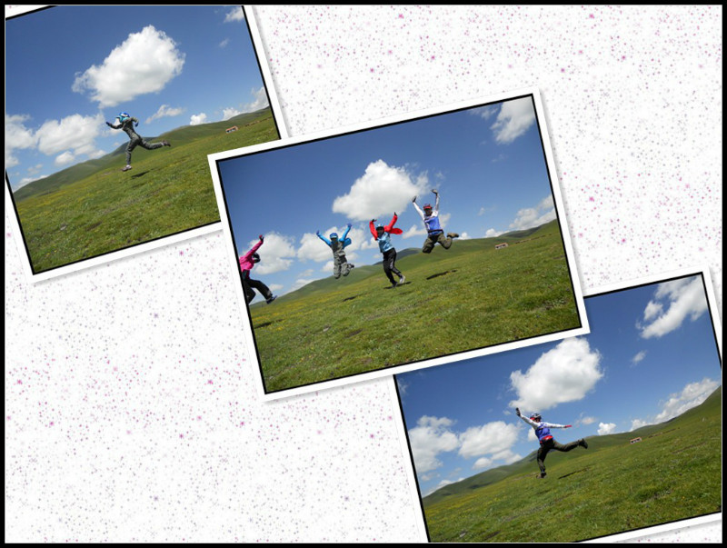 自由在高处的主要内容,自由在高处合集