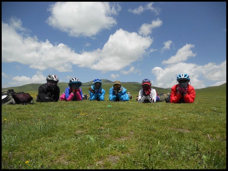 自由在高处的主要内容,自由在高处合集