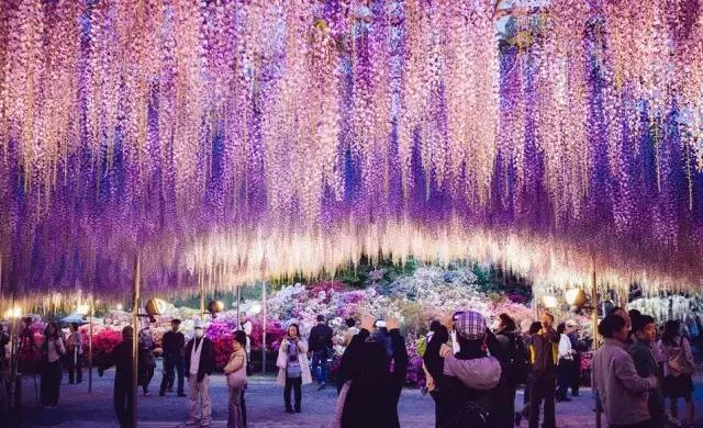 日本姑娘长什么样,想象中的日本是这样的吗