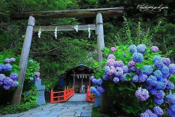 日本姑娘长什么样,想象中的日本是这样的吗