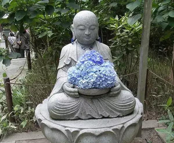 日本姑娘长什么样,想象中的日本是这样的吗