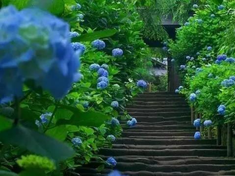 日本姑娘长什么样,想象中的日本是这样的吗