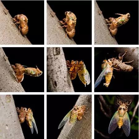 濮阳摸爬叉的地方,濮阳老城摸爬叉的地方