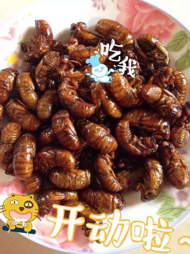 濮阳摸爬叉的地方,濮阳老城摸爬叉的地方