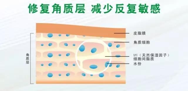 怎样增厚角质层增强皮肤免疫力,吃什么增厚脸上皮肤角质层