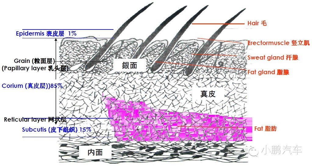汽车内饰皮革图案定制,汽车内饰软包皮革面料