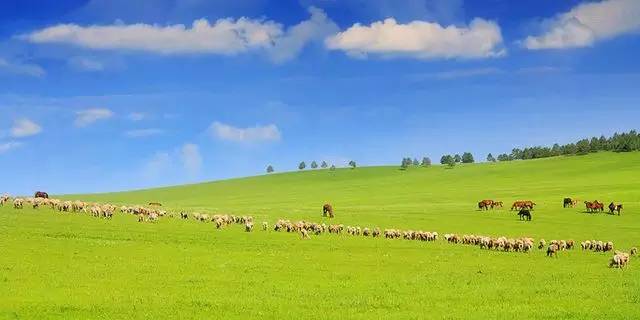 适合毕业旅行性价比比较高的景点,毕业旅行适合去哪儿玩儿