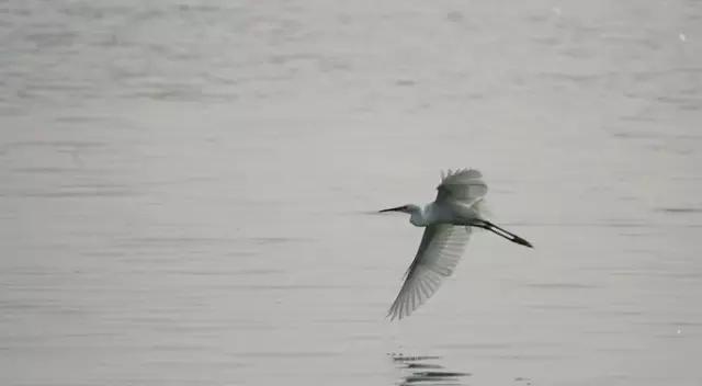 古典诗里的绝美意象,古代诗歌意象意境