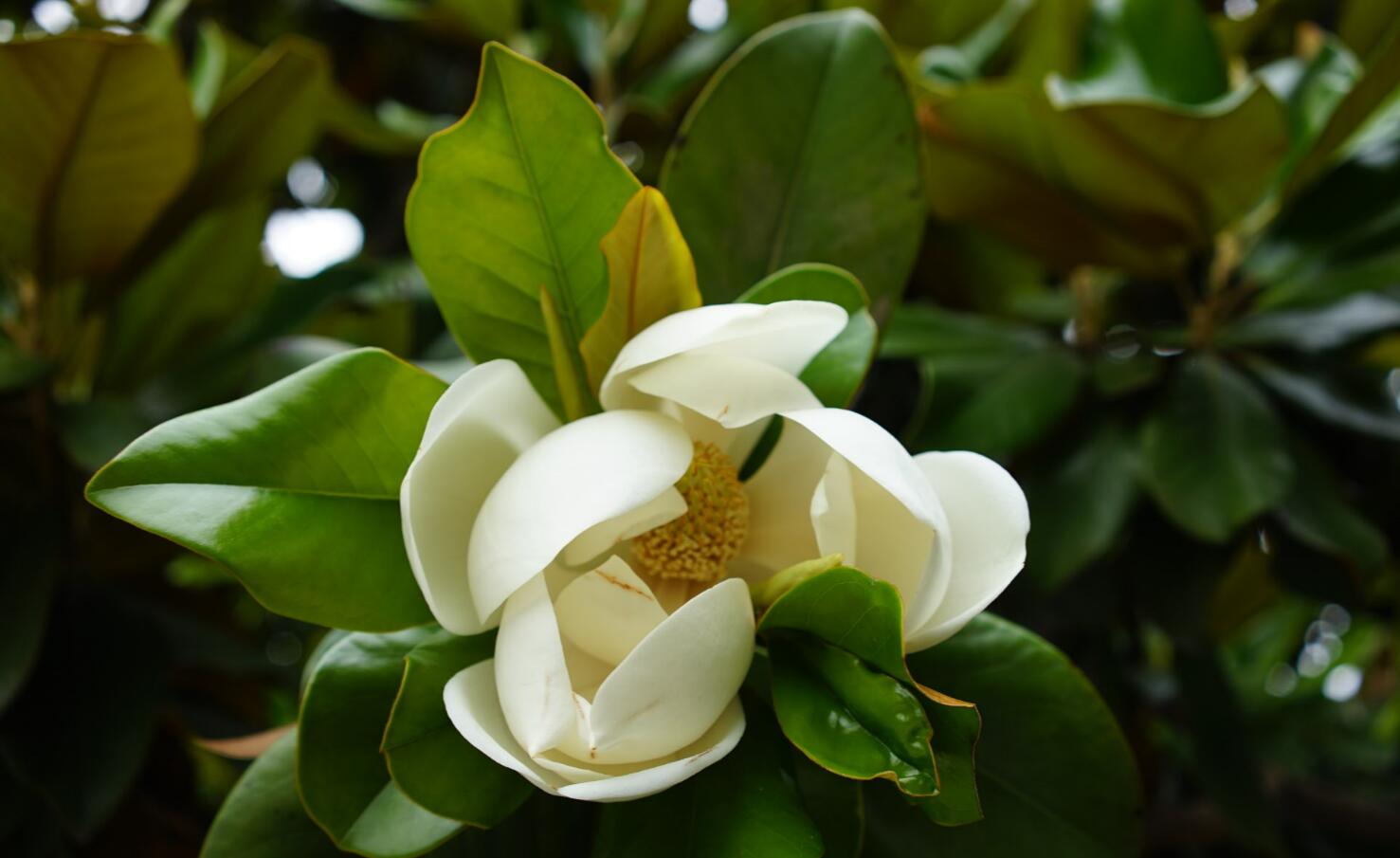 内在差异化的体现-乐2Pro测评