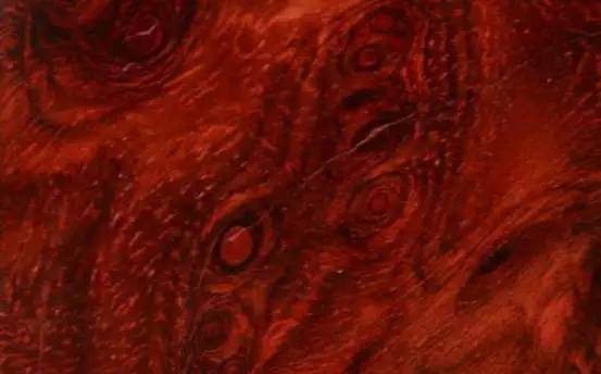 品鉴木头完整版,品鉴一般鉴别什么物品