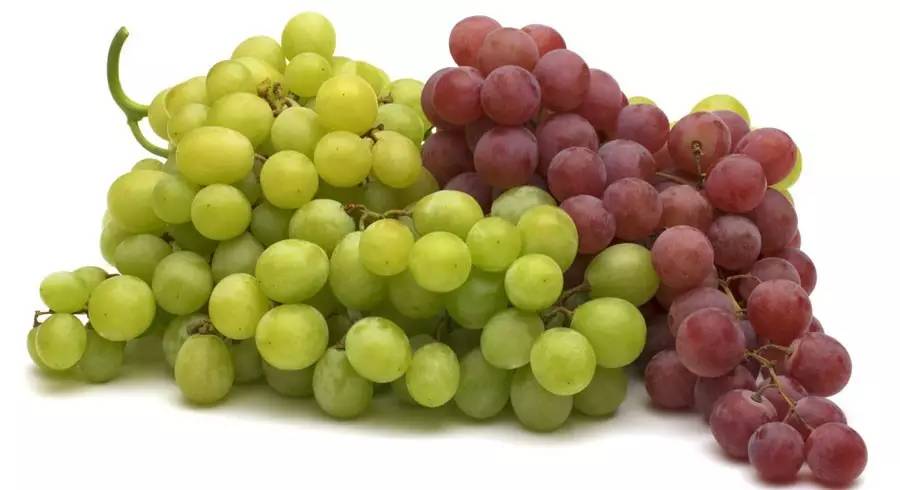 科普酿酒技术,鲜食葡萄酿酒葡萄