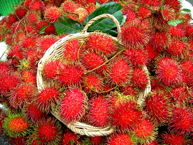 泰国红毛丹果园,泰国荔枝红毛丹