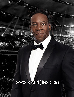 wwe2007全部视频,wwe200715周年