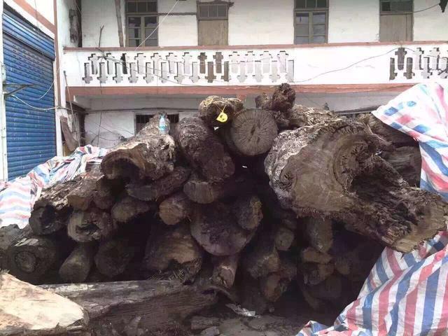 六十年代金丝楠当废品,金丝楠变废为宝