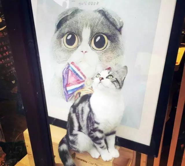 无锡不可错过的美食,无锡比较有名气的美食小吃