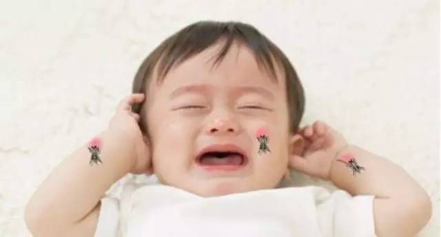 宝宝蚊子咬了起疱疹,小孩蚊虫叮咬后起疱疹是什么原因