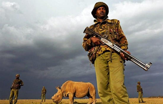 你绝对不敢玩的文玩宝贝，40名荷枪实弹的士兵日夜守护！