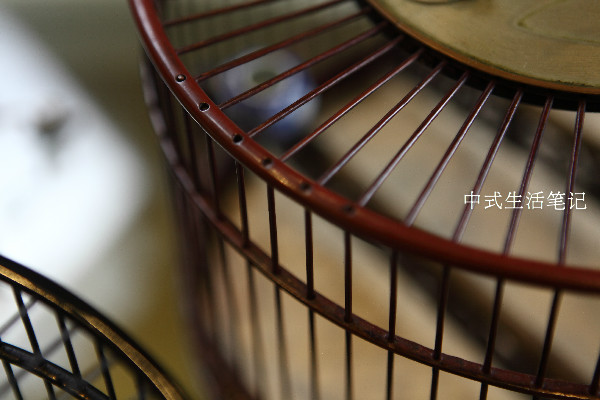 提笼架鸟说明什么,提笼架鸟视频