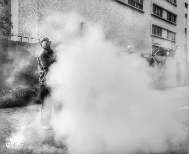 点赞他们的高光时刻,大家用手机拍出过什么好看的照片