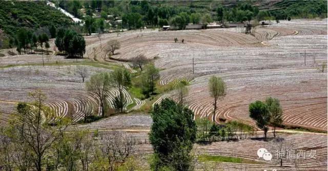 中国第一避暑城宜君县,去宜君避暑住哪最好