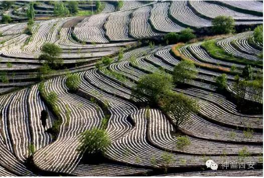 中国第一避暑城宜君县,去宜君避暑住哪最好