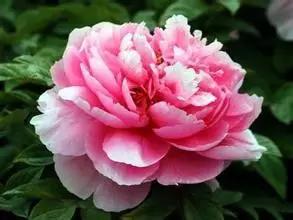 吃完这100种美食、看过这100种风景,可能再也离不开太仓!