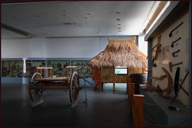 人文自驾国足主帅高洪波、前米卢都青睐的昆明海埂基地周边景观