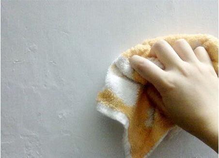 白墙上蚊子血渍怎么去除,黑斑蚊有什么办法驱除