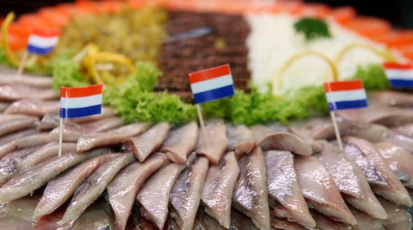 餐桌物种日历|4月20日大西洋鲱