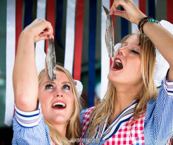 餐桌物种日历|4月20日大西洋鲱