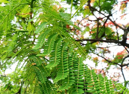 红米手机天生宿敌魅蓝3S评测699元惊艳千元档